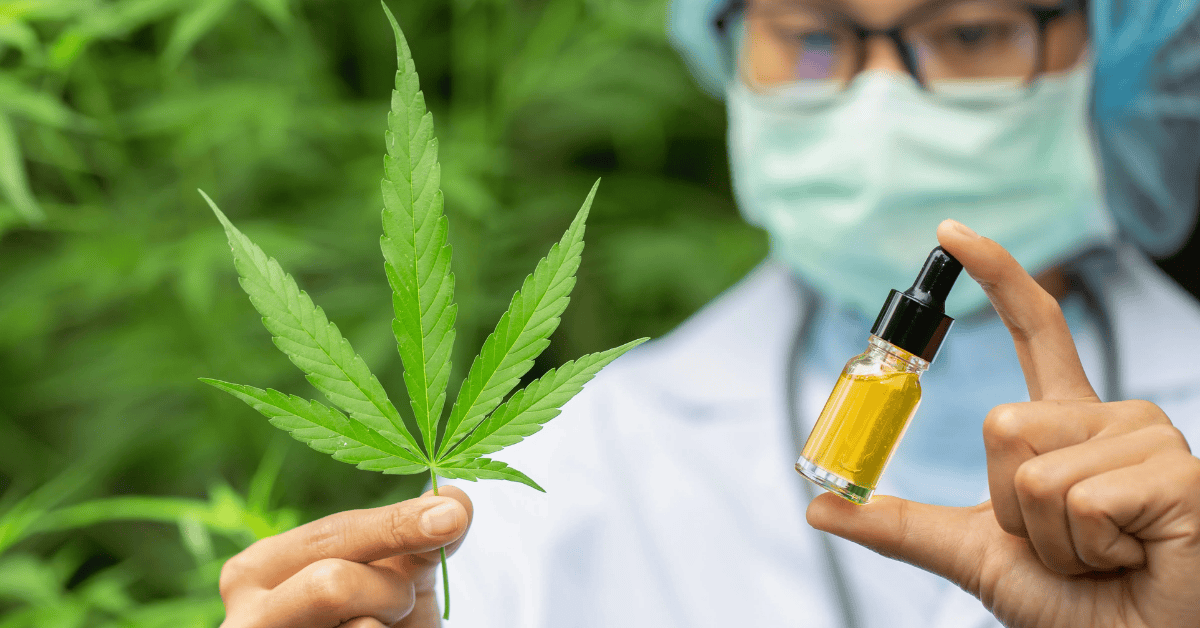 Cannabis PPC 2025: Ads That Lower Costs & Win Clicks Cannabis PPC 2025: Ads That Lower Costs & Win Clicks